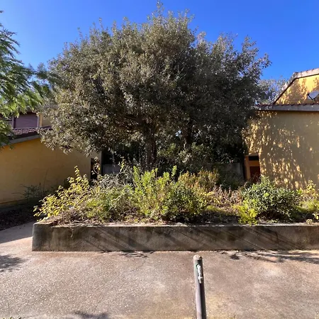 Le Mimose Punta Ala