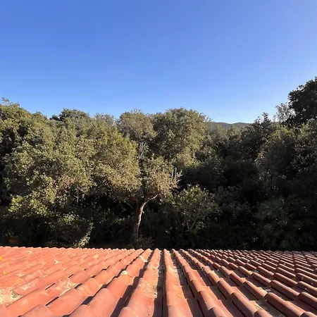 Le Mimose Apartment Punta Ala